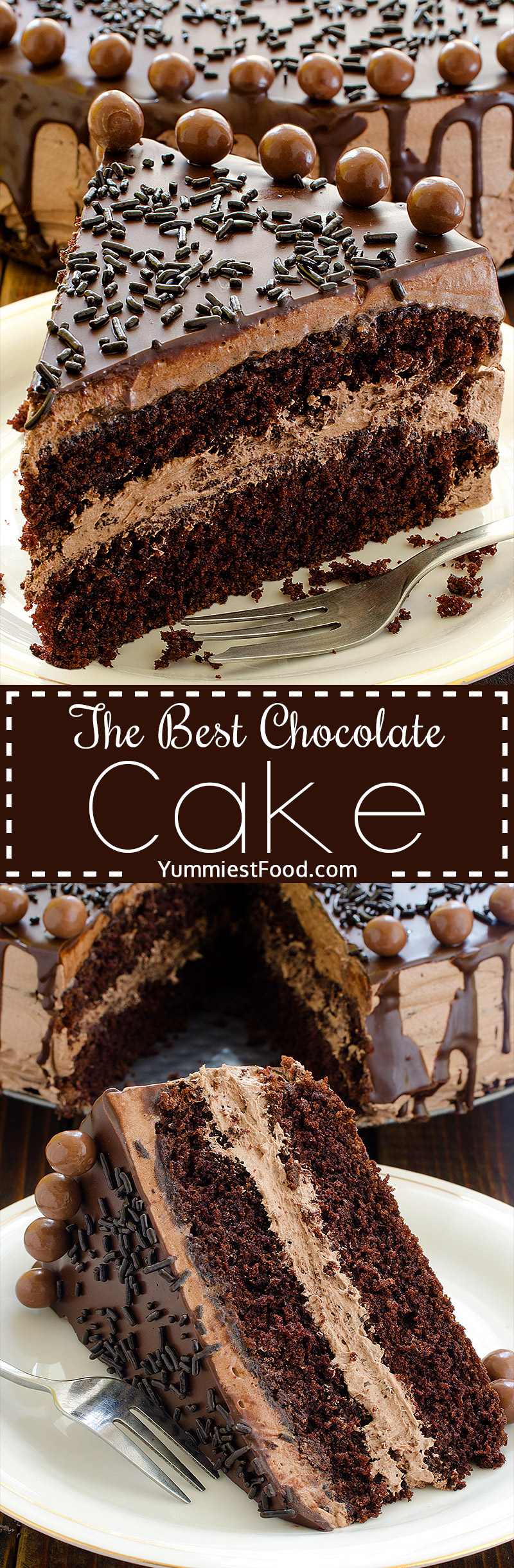The BEST Chocolate Cake - great combination of chocolate and coffee