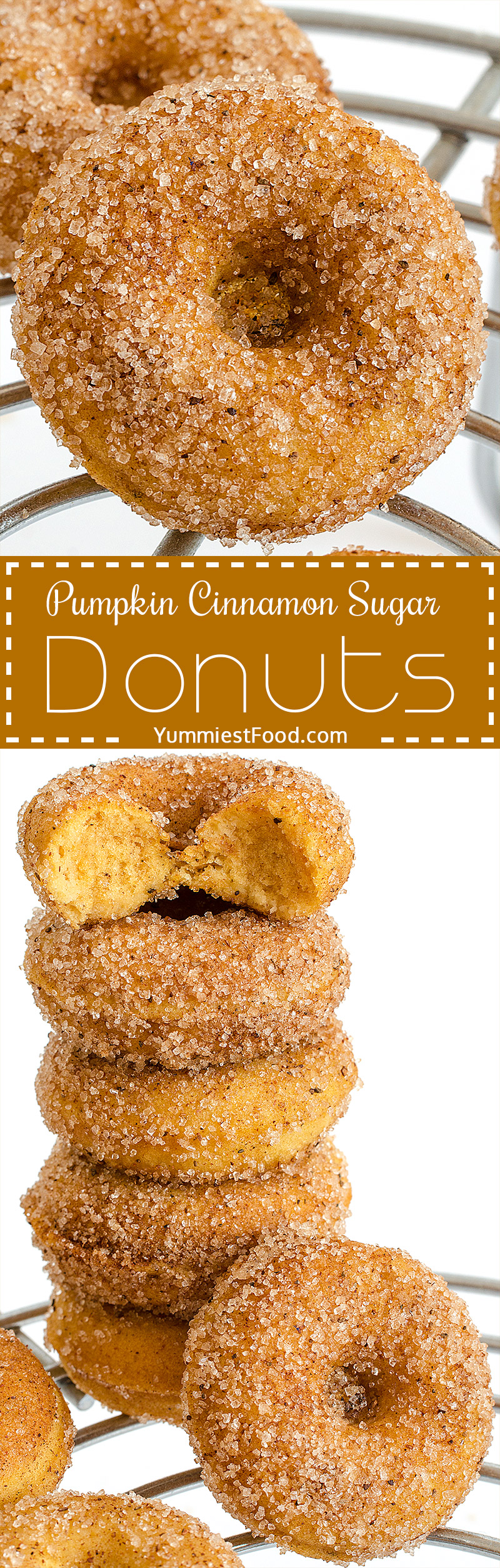 Soft Pumpkin Cinnamon Sugar Donuts