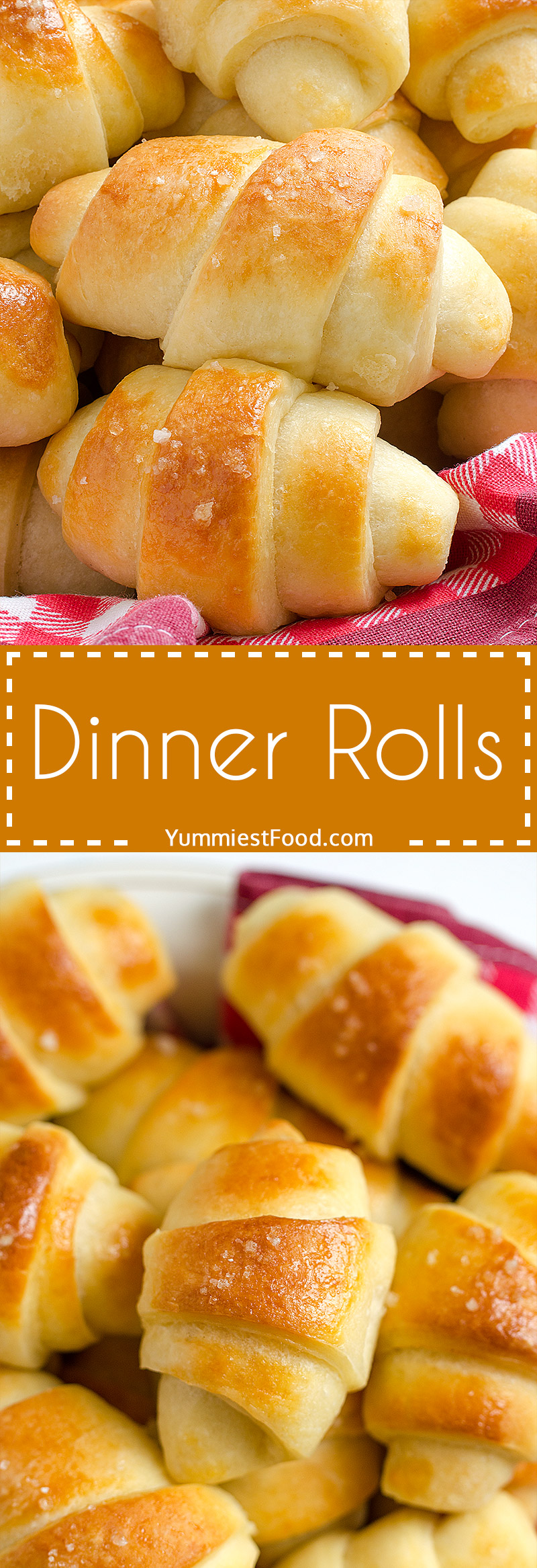 Dinner Rolls - delicious, light, soft and warm! This recipe has been a favorite recipe for years.