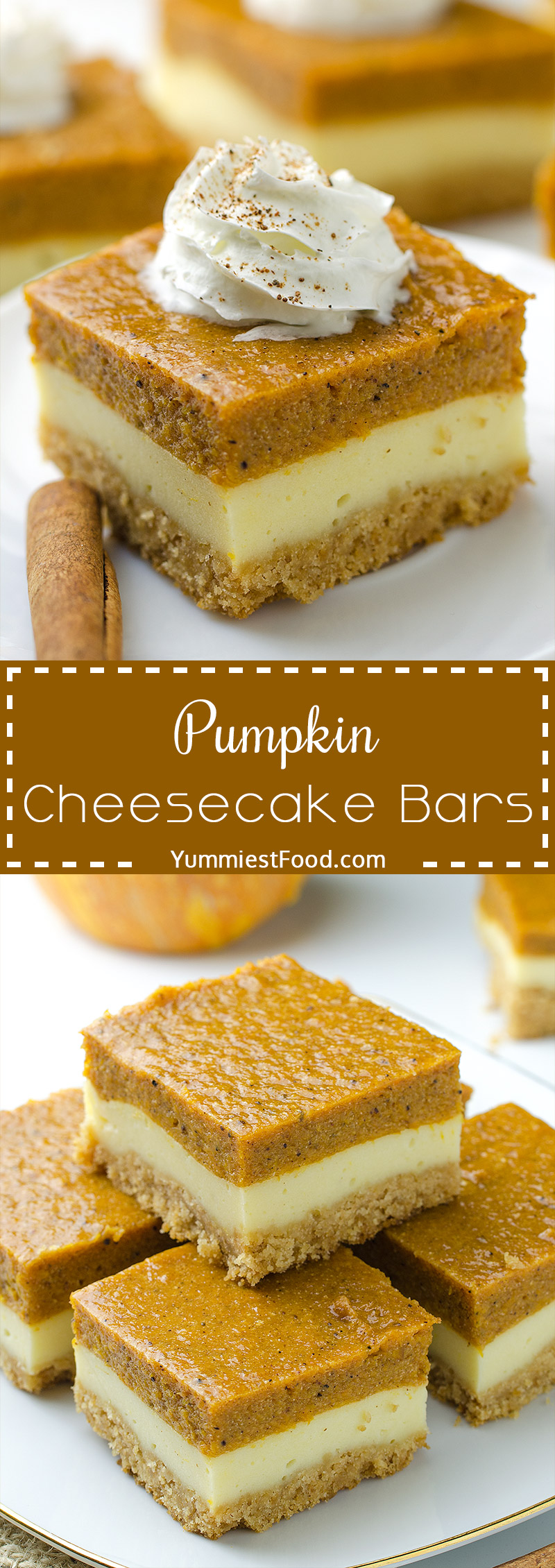 Pumpkin Cheesecake Bars - A super tasty sweet treat during the fall and holiday season