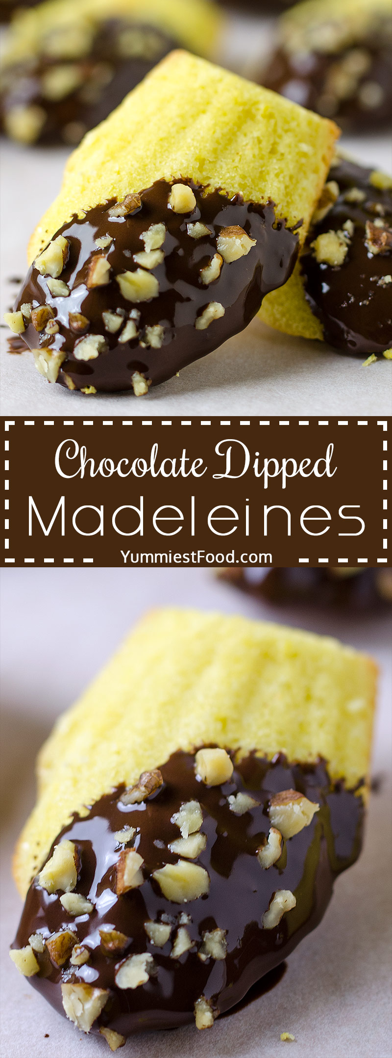 EASY CHOCOLATE DIPPED MADELEINES – Classic Madeleine recipe dipped in chocolate and decorated with chopped pecan or walnuts. 