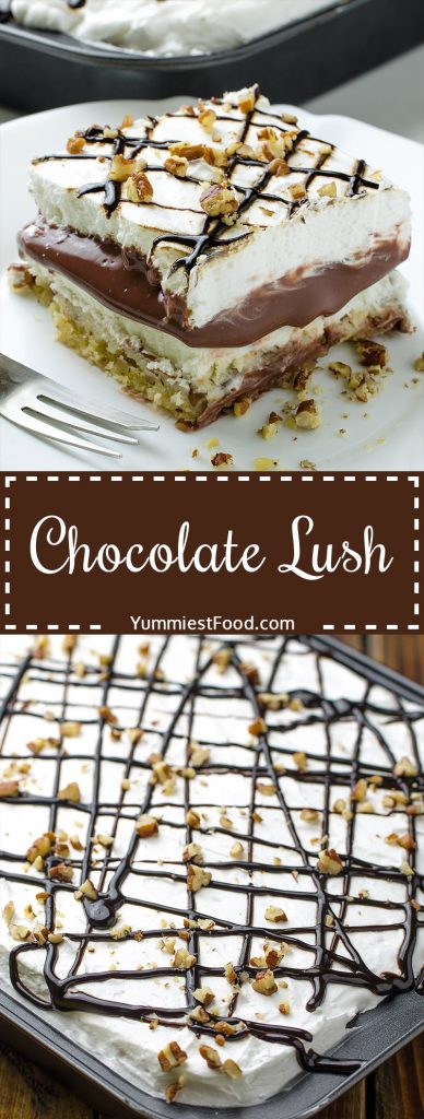 Chocolate Lush – Recipe from Yummiest Food Cookbook