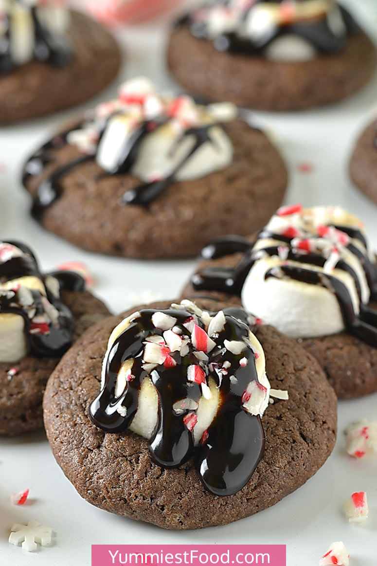 Peppermint Hot Chocolate Cookies are the perfect treat to have on hand during the Holiday season! Decadently rich peppermint chocolate cookies with a lot of chocolate, melted marshmallows stacked on top with chocolate icing and crushed candy cane! #christmas #christmasrecipes #chocolate #desserts #dessertrecipes #cookies #easycookies