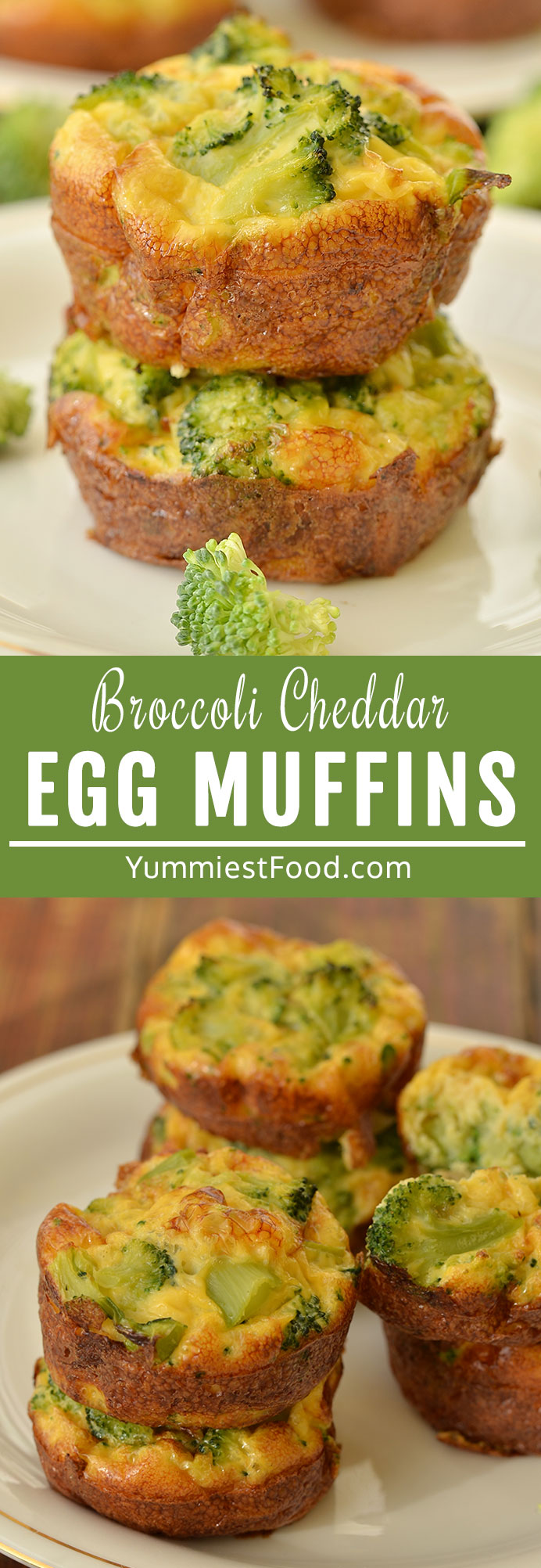 Broccoli Cheddar Egg Muffins are loaded with cheddar cheese and fresh broccoli. They are a quick and easy way to get your eggs in the morning. Perfect on-to-go breakfast muffins! #breakfast #muffins #muffinrecipes