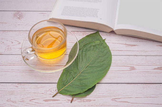 kratom