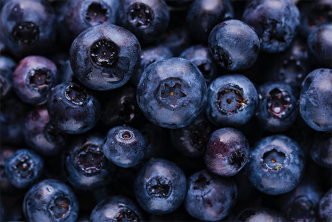 fruit