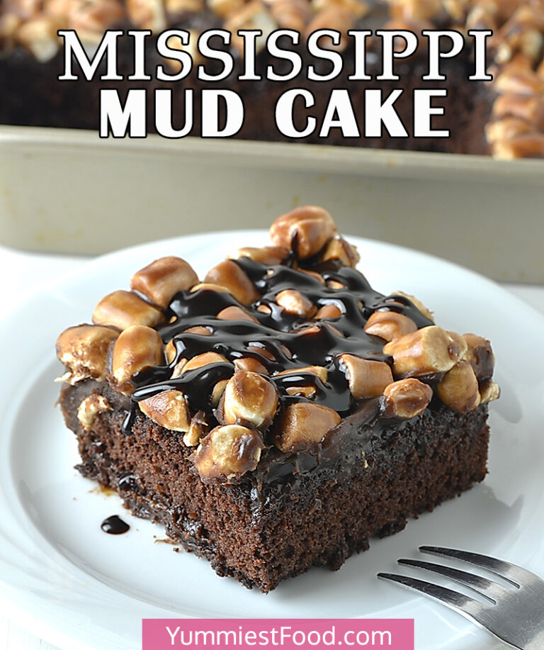 Mississippi Mud Cake Recipe from Yummiest Food Cookbook